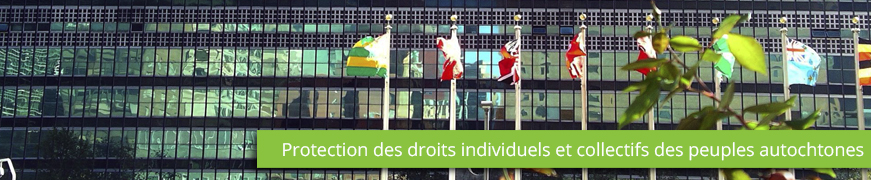 Déclaration des Nations Unies fr